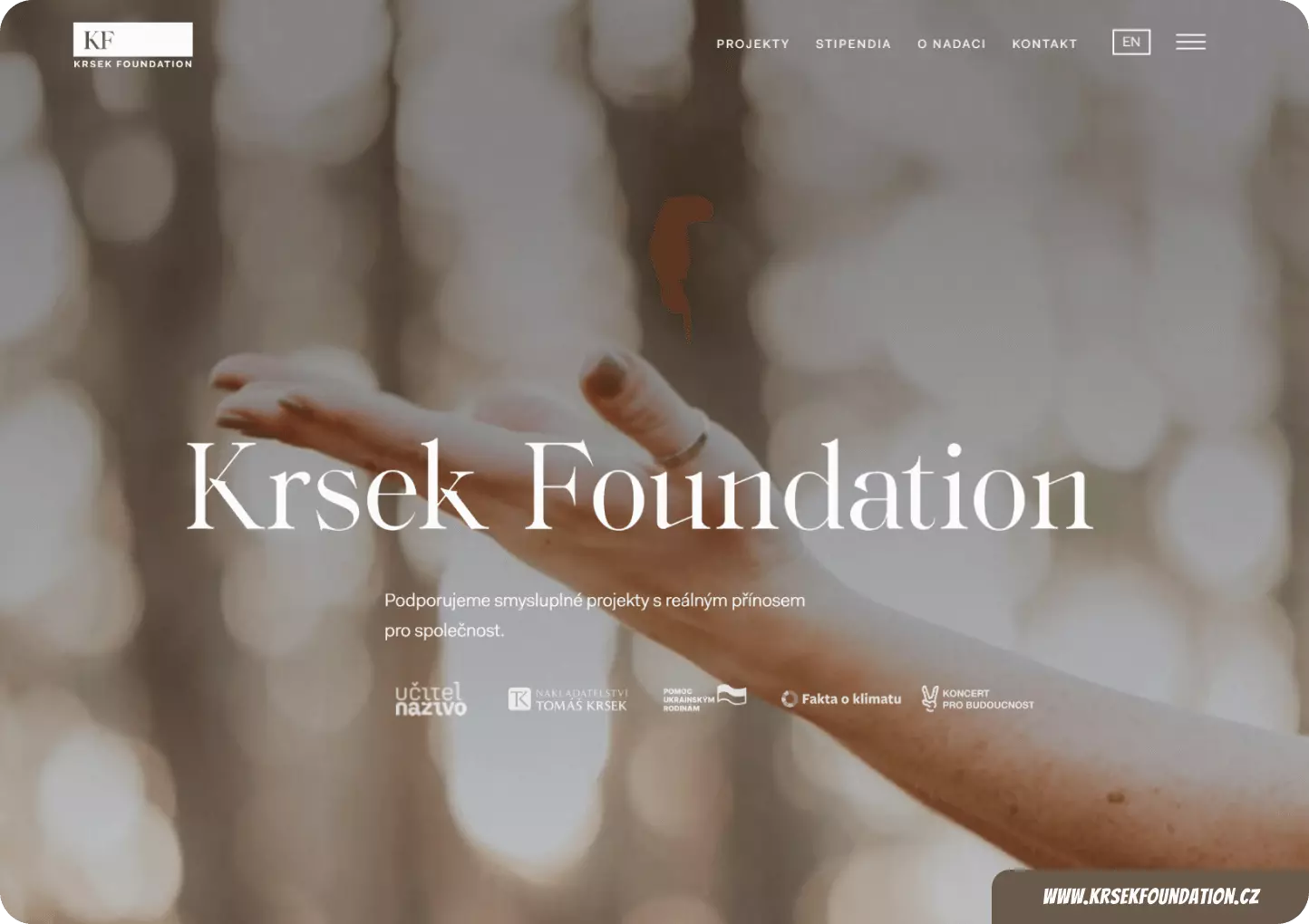 Projekt Krsek foundation